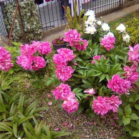 莱万托Casa Giulia公寓 外观 照片